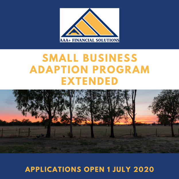 Small business adaption grant